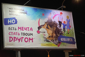 Фотофакт. В Минске призывают брать собак из приютов